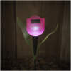 Afbeelding van Solar LED Tulp Tuinlamp – Steeklamp Op Zonne-Energie – 30 Cm – 1 LED – Automatisch Aan Bij Schemer