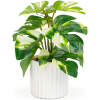 Afbeelding van Kunstplant - Woon Decoratie - philodendron - groen/geel - 20 x 8 cm 1 Stuks [11892B] - f2a2 c1fa 4cbf b163