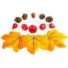 Afbeelding van Herfstdecoratie – Set Met Blad, Dennenappel En Pompoen – Natuurlijke Elementen – 4 Types (Willekeurig 1
