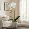 Afbeelding van Kunstplantdecoratie - orchidee - 3 soorten - 45 cm 1 Stuks [11916] - 01 11916 web
