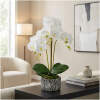 Afbeelding van Kunstplantdecoratie - orchidee - 2 soorten - 53 cm 1 Stuks [11917] - 01 11917 web