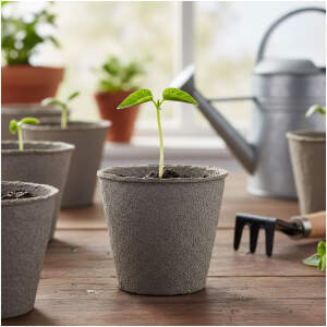 Afbeelding van Zaadpotje - Ø8 cm - rond, papier - 10 stuks / verpakking 1 Stuks [11986] - 01 11986 web