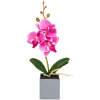 Afbeelding van Kunstplantdecoratie - orchidee - 3 soorten - 29,5 cm 1 Stuks [11914] - 02 11914 web