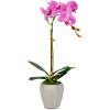 Afbeelding van Kunstplantdecoratie - orchidee - 3 soorten - 45 cm 1 Stuks [11916] - 02 11916 web