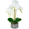 Afbeelding van Kunstplantdecoratie - orchidee - 2 soorten - 53 cm 1 Stuks [11917] - 03 11917 web