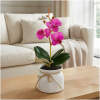 Afbeelding van Kunst Orchidee Plant 32,5 cm in Pot – Realistisch Kunstplantje – Onderhoudsvrij – Wit / Roze / Paars