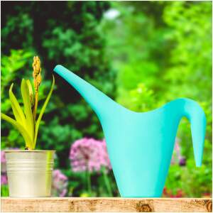 Afbeelding van Gieter 1,45 Liter Groen – Kunststof Gieter met Lange Tuit – Voor Binnen- en Buitenplanten –