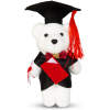 Afbeelding van Afstudeer Teddybeer 13 cm – Geslaagd Cadeau – Beer met Toga & Afstudeerhoed – Decoratie voor