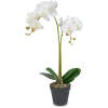 Afbeelding van Kunst Orchidee Plant 54 cm in Pot – Realistisch Kunstplantje – Onderhoudsvrij – Wit / Paars –