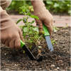 Afbeelding van Onkruidmes Set 2 Stuks 20 cm – Onkruid Verwijderaar – Tuinmes met RVS Blad – Anti-Slip Handgreep –