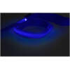 Afbeelding van Hondenriem met LED Verlichting – Veiligheidslijn voor Hond – Verlichte Hondenriem – 120 cm – Blauw