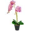 Afbeelding van Kunst Orchidee Plant 54 cm in Pot – Realistisch Kunstplantje – Onderhoudsvrij – Wit / Paars –