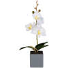Afbeelding van Kunst Orchidee Plant 29,5 cm in Pot – Realistisch Kunstplantje – Onderhoudsvrij – Wit / Roze / Paars