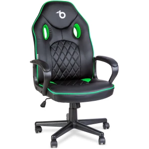 Afbeelding van Gaming Bureaustoel Met Armleuningen - Zwart/Groen - Ergonomisch - Gasveer - 110 kg - 71x53 cm Rug - 53x47 cm