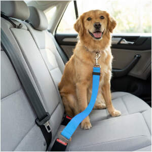 Afbeelding van Autogordel Hondenriem 45–70 cm – Verstelbare Veiligheidsriem voor Hond – Autoriem met Karabijnhaak –