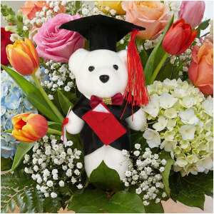 Afbeelding van Afstudeer Teddybeer 13 cm – Geslaagd Cadeau – Beer met Toga & Afstudeerhoed – Decoratie voor