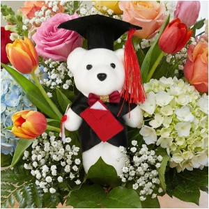 Afbeelding van Afstudeer Teddybeer 13 cm – Geslaagd Cadeau – Beer met Toga & Afstudeerhoed – Decoratie voor