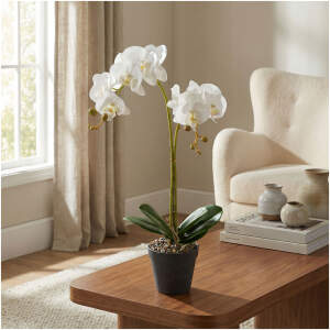 Afbeelding van Kunst Orchidee Plant 54 cm in Pot – Realistisch Kunstplantje – Onderhoudsvrij – Wit / Paars –