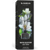Afbeelding van Dr. Marcus Home Parfumsticks 100 ml - Waterbloesem 1 Stuks [DRM07728] - 02 DRM07728 web