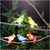 Afbeelding van Solar Lichtsnoer Met Vogels - Clip-On - 5x RGB LED - 80 cm Verlicht - Totale Lengte 3 m - Automatisch Aan/Uit