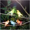 Solar Lichtsnoer Met Vogels - Clip-On - 5x RGB LED - 80 cm Verlicht - Totale Lengte 3 m - Automatisch Aan/Uit - Transparant [11787]