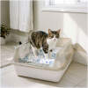 Kattenbak – 51 x 35 x 10 cm – wit, grijs 1 Stuks [60098]