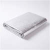 Warmtereflecterende folie - 60 x 120 x 0,25 cm 1 Stuks [11589B]