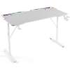 Gaming bureau - 120 x 60 x 75 cm - RGB LED, USB, bekerhouder, hoofdtelefoonhouder, koolstofvezel - wit 1 Stuks [BMD1128WH]